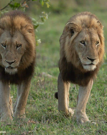 34Tyron Van Der Walt NWashishaka Males 301020 3 Final