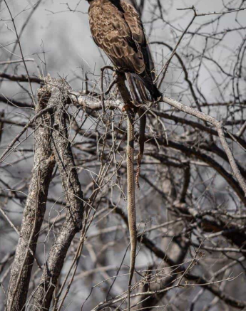 09Kerry Lee Roberg Wahlbergs Final