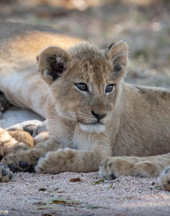 A20ronald Mutero Stix 26092021 Final A20ronald Mutero Stix 26092021 Final