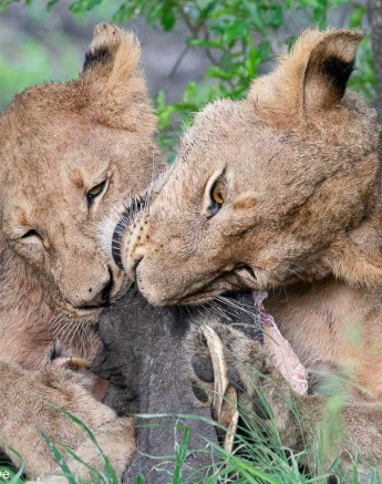 A33ronald Mutero Styx 29112022  6 Final