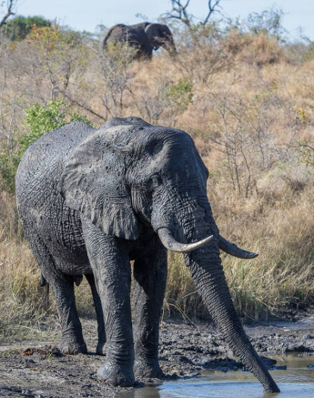 1896783 742920129088974 8801027729248906843 N