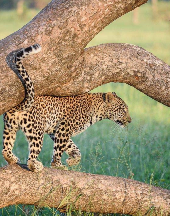 20Mike Palmer Hlarulini 010416 2