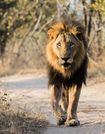 11Kevan Dobbie Charleston Male 01 Final