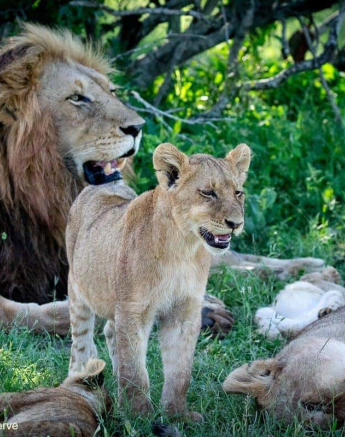 23ronald Mutero Mhangeni 04012020 22 Final