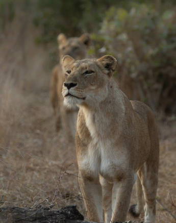 B20Tyron Van Der Walt Styx 270821 Portrait Final B20Tyron Van Der Walt Styx 270821 Portrait Final