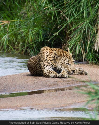 1498047 622578714456450 608649994 O