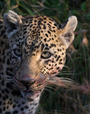 Nottins Mala Bamba 2 Nottins Mala Bamba 2