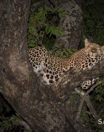 10904505 797502263630760 2543130149476016130 O