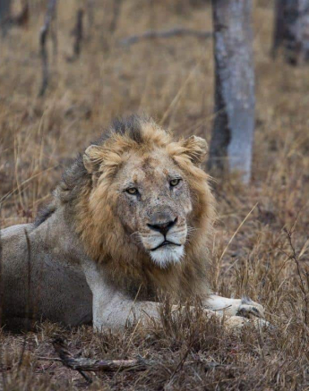 02Kevin Van Der Linde Avoca 17102018 Final