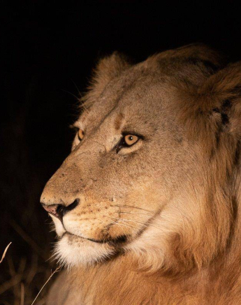 23Tyron Van Der Walt Talamati Male 30072019 2 Final 23Tyron Van Der Walt Talamati Male 30072019 2 Final