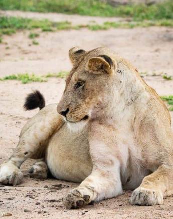 35ronaldmutero Stix 22112020  2 Final 35ronaldmutero Stix 22112020  2 Final