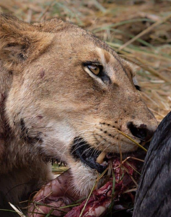12Kerry Lee Roberg SP2400519.2 Final 12Kerry Lee Roberg SP2400519.2 Final