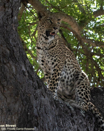 A23Jason Street Golonyi 021222 2. Final