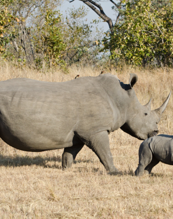 Week In Pictures 2 Week In Pictures 2