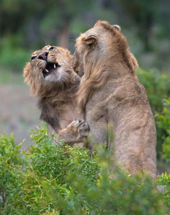 16Terry Ennever Talamati4 27 2 15 16Terry Ennever Talamati4 27 2 15