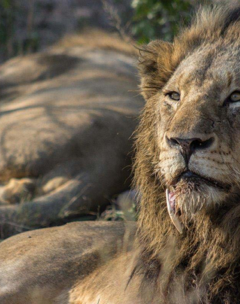 05Tayla McCurdy Charleston 7 May 16 1 Of 1 05Tayla McCurdy Charleston 7 May 16 1 Of 1