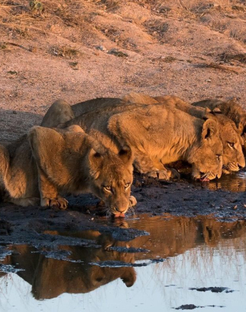 36Sheldon Hooper SP 27 06 17 5 Final