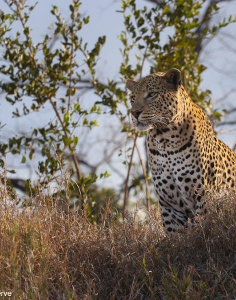 21Marco Vietti White Dam 1 160721 Final