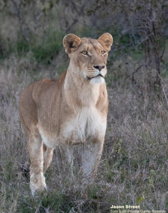 A16Jason Street Southern Pride 180622 1 Final A16Jason Street Southern Pride 180622 1 Final