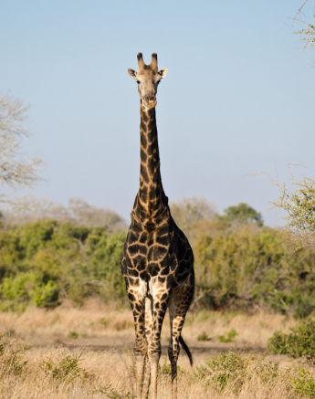 Week In Pictures 20 Week In Pictures 20