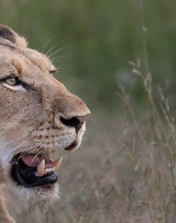 A06Graeme Stewart Mhangene 230122 Final