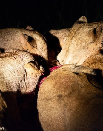 03ronald Mutero Styx 02012023  Final