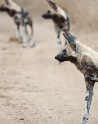 Week In Pictures 23 Week In Pictures 23