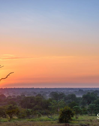 10986468 808550879192565 5865942529678803134 O