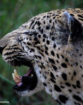 15Xovo 1 Rebecca Boshoff 1 Of 1 Final