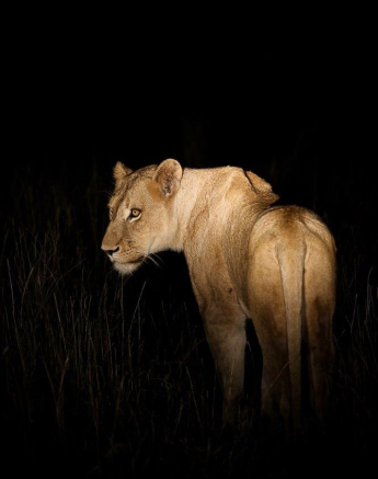 47Ally Ross 20200331 SP Female 01  Final 47Ally Ross 20200331 SP Female 01  Final