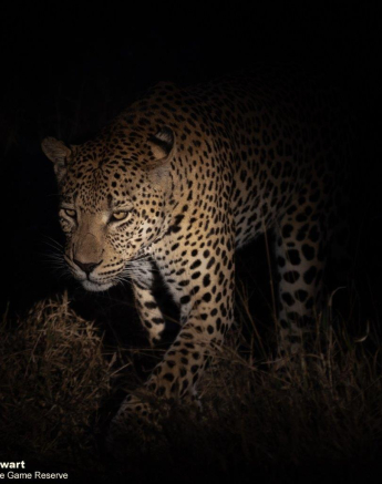 05Graeme Stewart White Dam 120521 Final