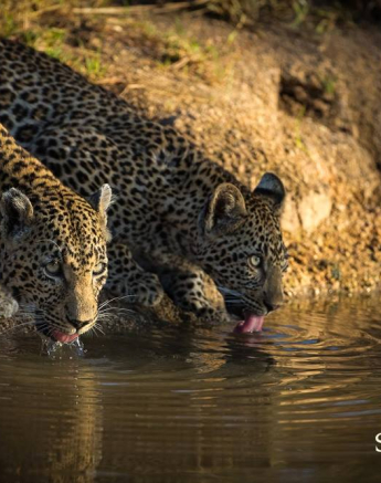 10959232 812192062161780 2777704823441379835 O