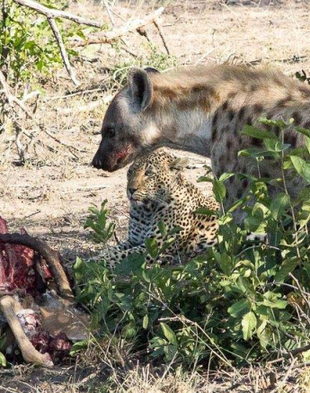08Dylan Leo Smith White Dam 08Dylan Leo Smith White Dam