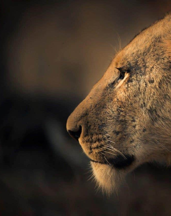 02Terry Ennever Mhangeni 2018813 1 Final