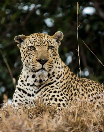 27Kevan Dobbie Xovo 290818 4 Final