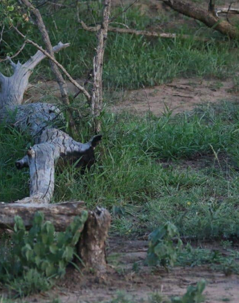 12Steff McWilliam Blog011 Final