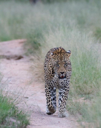 10Louise Murray Nweti 11042019 3 Final