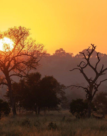 02Kevin Van Der Linde Sunrise 01052019 Final 02Kevin Van Der Linde Sunrise 01052019 Final