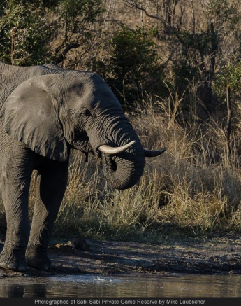 10329777 735802959800691 5180413953748587263 O