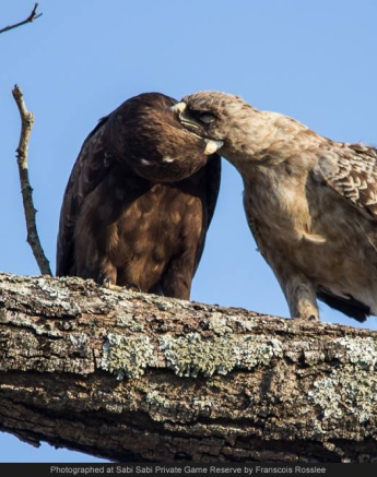 10661887 742007582513562 4482084142303887056 O