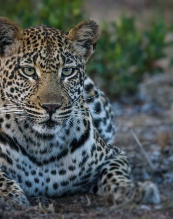 Mike Palmer Hlarulini 070316 2 Mike Palmer Hlarulini 070316 2