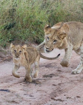 24Franscois Rosslee Sp 18052017 2 Final 24Franscois Rosslee Sp 18052017 2 Final