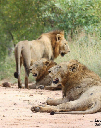 06Louise Murray Nwasishaka 16042020 1 Final