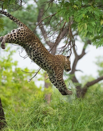 05Terry Ennever LBC 16117 2 Final