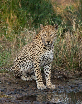 30 Kerry Lee Roberg Maxabeni1 Final