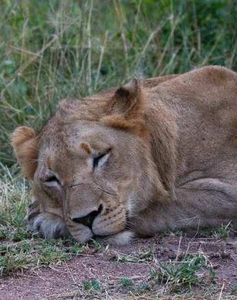 23Louise Murray SP 10042019 Final