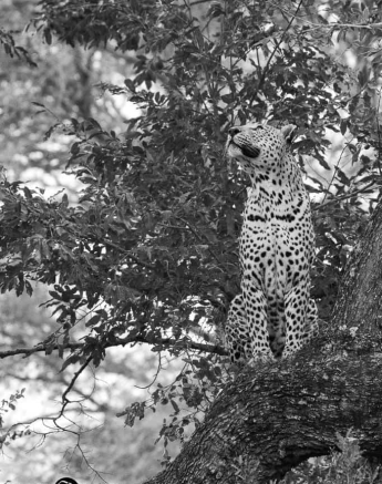 34Louise Murray Max 24052019 1 Final 34Louise Murray Max 24052019 1 Final