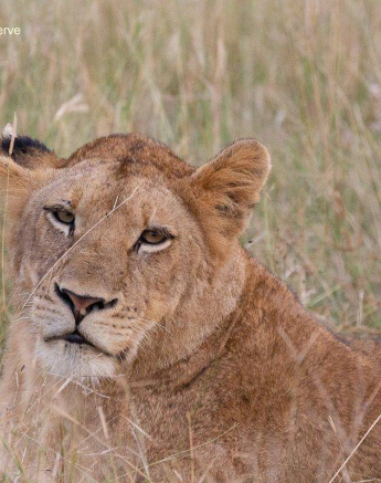 13Greg Heasman Mhangeni 24032020 1 Final