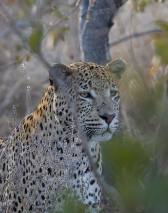 22Graeme Stewart White Dam 150721 1  Final