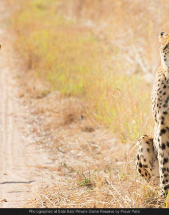 10504811 701839429863711 1568353315782643325 O